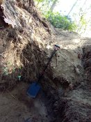 IMG_20260501_103013318_MFNR.jpg