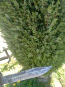 IMG_20260503_122534.jpg