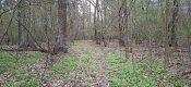 20260425_191026.jpg