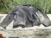 IMG_3291.jpeg
