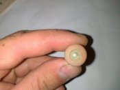 DSC_0202.jpg