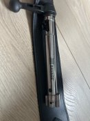 IMG_3335.jpeg