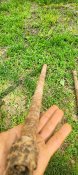 IMG20260513155809.jpg