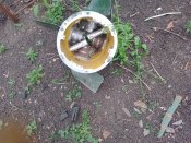 Запчасти на Торнадо ес