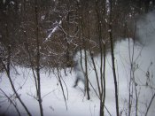 DSCN9835.jpg