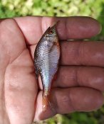 IMG_20260516_153851.jpg