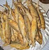 IMG_20260516_180616.jpg