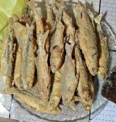 IMG_20260516_180651.jpg