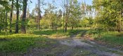 20260515_191832.jpg