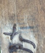 IMG_4944.jpeg