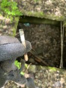 IMG_7154.jpeg