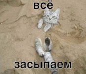 03ada981-581d-4ea6-bd5c-2d5377a888ec.jpg