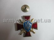 Значок Герб Украины, красный крест.JPG