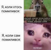 706054377_1036962771990855_7830385941569780337_n.jpg