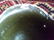 IMG0163A.jpg