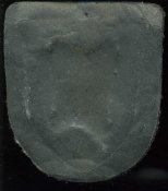 img560.jpg