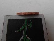 Изображение 011.jpg