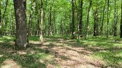 IMG_20260616_163649.jpg