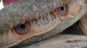 IMG_6788.jpeg