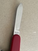 IMG_9993.jpeg