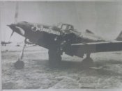 p-39.jpg