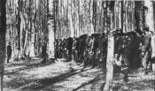 Г-07-2-L'vy.jpg
