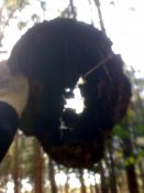 DSC00326.JPG