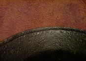 DSC01521a.JPG