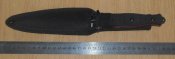 SDC17475.JPG