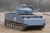 тигр2.jpg