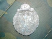 DSC01006.JPG