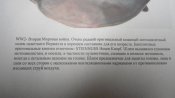 DSC07627.JPG