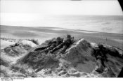 Bundesarchiv_Bild_101I-755-0192-37,_DГ¤nemark,_MG_in_Stellung.jpg