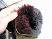 Resize of P1010246.JPG