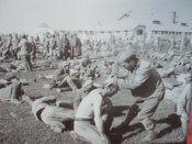 SDC10611.jpg
