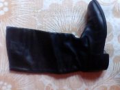 IMG0226A.jpg
