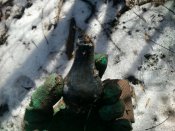 DSC_1158.JPG