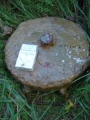 DSC02239.JPG