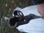 DSC08593.JPG