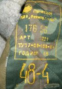 8638490.jpg