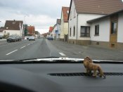 Bild 329.JPG