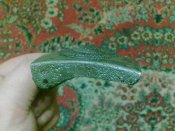 26122009116.jpg