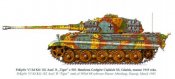 Panzer Colors part 13430.jpg