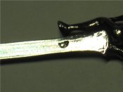 bb5f3ec2252f.jpg