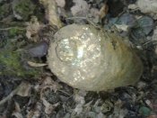 20140225_141704.jpg