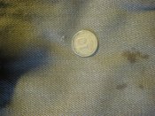 IMG_6574.JPG