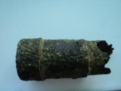 DSC02076.JPG