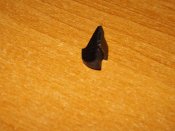 DSCF5663.JPG