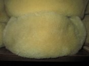 IMG_1972.JPG