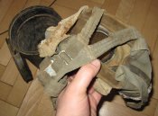 IMG_2568.jpg